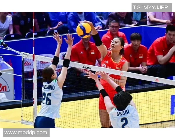 南京排球队在世界杯中的团队协作表现分析与启示