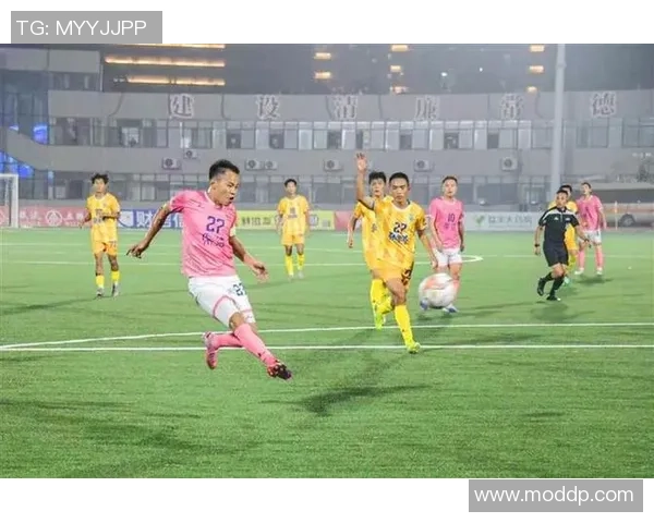 常德足球明星盘点与成就分析探索他们的职业生涯与影响力