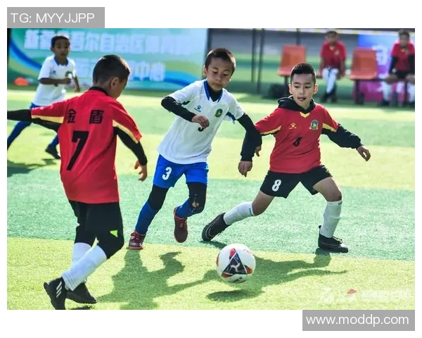 新疆足球热潮背后的明星效应与文化认同探析