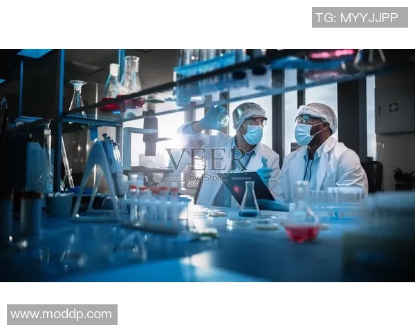 深圳排球队边路渗透创新策略探讨与实践分析 深圳排球队边路渗透创新策略探讨与实践分析