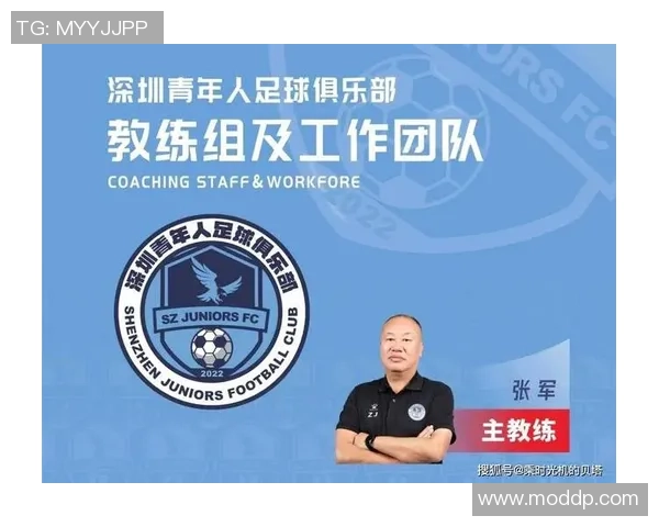 深圳足球队实力引发热议球迷对球队未来发展看法各异