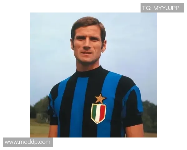 意大利足球传奇人物揭秘真正的足球明星与他们的辉煌成就