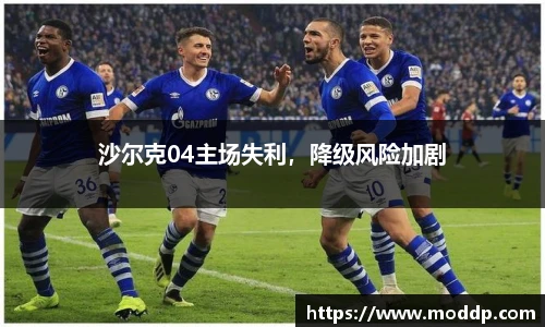 沙尔克04主场失利，降级风险加剧
