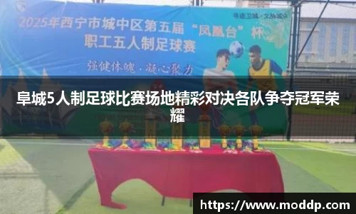 阜城5人制足球比赛场地精彩对决各队争夺冠军荣耀