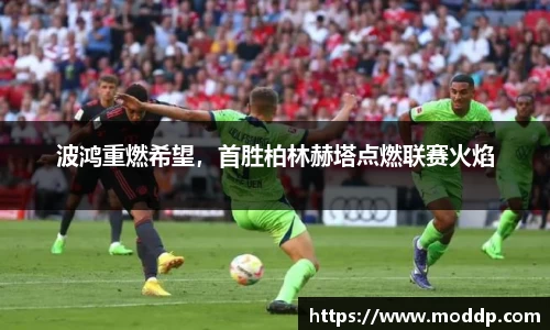 j9九游会登录