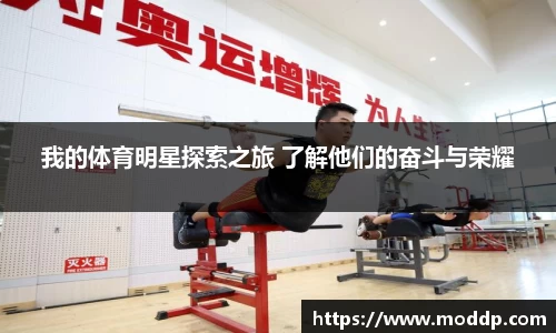 我的体育明星探索之旅 了解他们的奋斗与荣耀