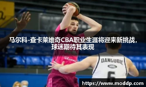 马尔科-查卡莱维奇CBA职业生涯将迎来新挑战，球迷期待其表现