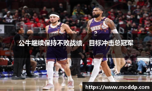 公牛继续保持不败战绩，目标冲击总冠军