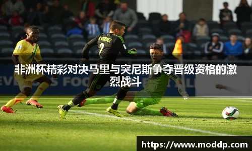 非洲杯精彩对决马里与突尼斯争夺晋级资格的激烈战斗